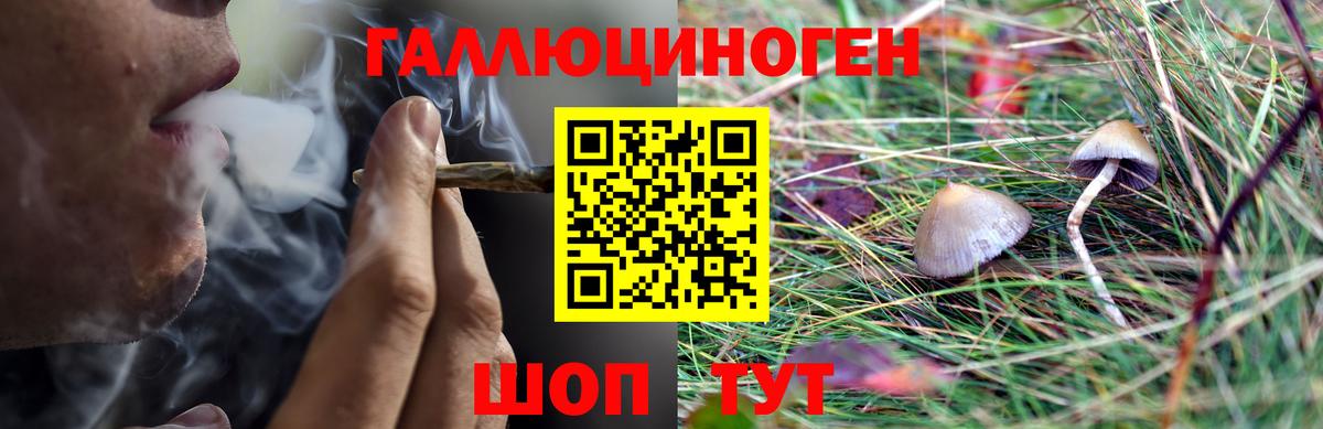 Тутаев  Галлюциногенные грибы прущие грибы  Вход с VPN 